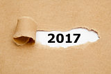 Year 2017 Ripped Paper