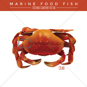 Crab. Marine Food Fish