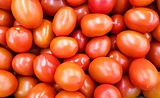 Background of red tomatoes.