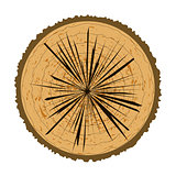 Tree Rings Background. Wood Icon.