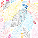 Graphic pattern of autumn leaves 