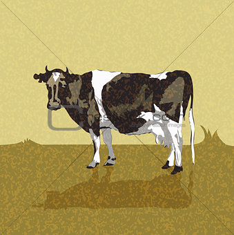 Vintage old card with a cow. vector illustration