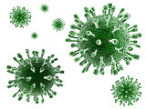 Viruses isolated