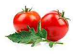 Red tomatoes with green leaf