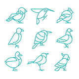 Bird Icons, Thin Line Style, Vector Illustration Set
