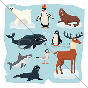 Arctic and Antarctic Animals, Fish Set