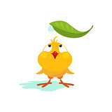 Small Chicken Looking at Leaf. Vector Illustration