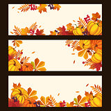 Autumn Banners with Colorful Leaves and Pumkins, Vector Illustration