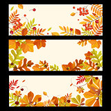 Autumn Banners with Berries and Leaves, Vector Illustration
