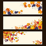 Autumn Banners with Ripe Berries and Leaves, Vector Illustration
