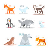 Arctic and Antarctic Animals, Penguin. Vector Illustration