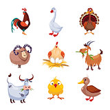 Farm Animal and Birds Vector Illustration Set. Flat Design