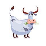 Cow Chewing Grass. Vector Illustration