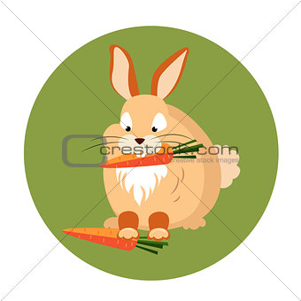 Cute Rabbit Eating a Carrot Vector