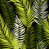Beautifil Palm Tree Leaf  Silhouette Seamless Pattern Background