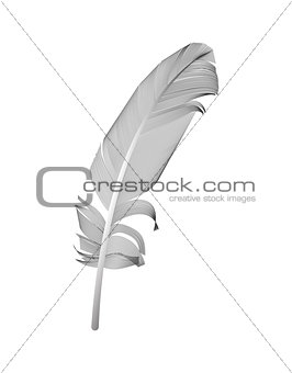 Black Bird Feather Drawn in White Background. Vector Illustratio