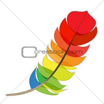 Colorful Cartoon Painted Birds of Feather Isolated on White Back