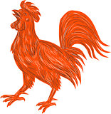 Chicken Rooster Crowing Drawing