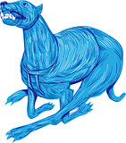 Greyhound Dog Racing Drawing