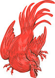 Chicken Rooster Crouching Drawing