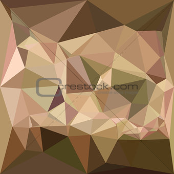Burlywood Abstract Low Polygon Background