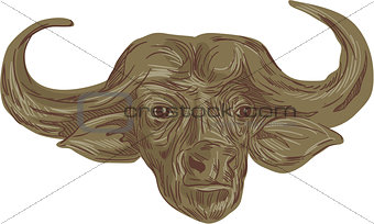 African Buffalo Head Drawing