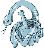 Hand Holding Mortar and Pestle Snake Drawing