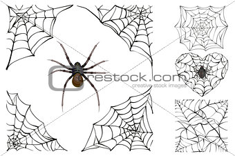 Web and poisonous spider. Set Halloween accessory