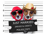 mugshot just married dogs