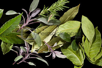 Traditional culinary herbs.