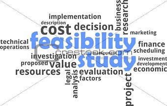 word cloud - feasibility study