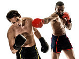 kickboxing kickboxer boxing men isolated
