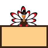 thanksgiving turkey vector