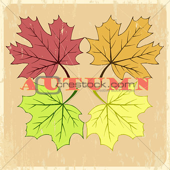 Vector autumn hand drawn leaves