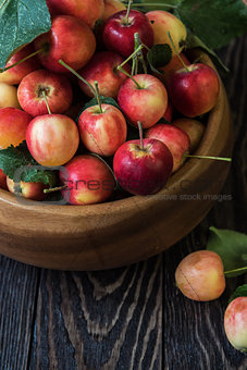 Fresh harvest of apples