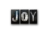 Joy Concept Isolated Letterpress Type