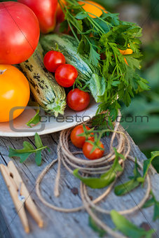 vegetables and greens in a garden