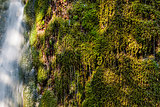 Grass wallpaper waterfall drops