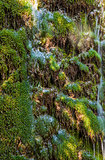 waterfall background green grass