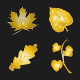 Set of golden leaves