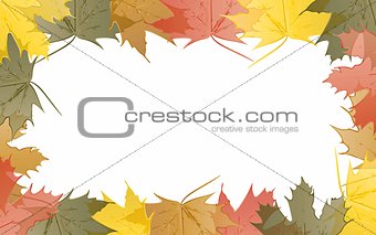Wallpaper maple leaves in autumn