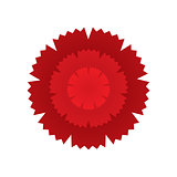 Carnation flower icon