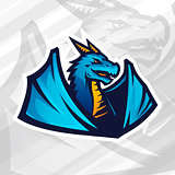 Dragon logo concept. Football or baseball mascot design. College league insignia, School team vector.