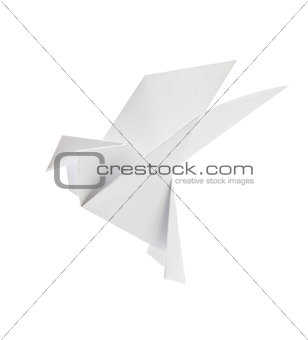 White pigeon of origami