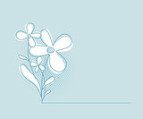 Flower Vector Background. Simple and Clean Herbal Concept Design Template