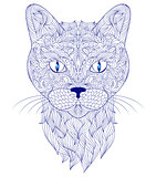 head of cat on white background