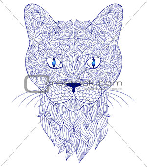 head of cat on white background