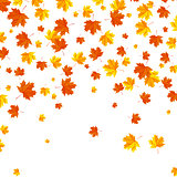 Falling autumn leaves background.