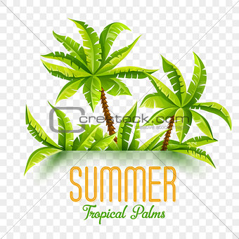 Summer coconut palms vector illustration jungle forest tropical