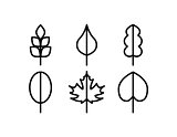 Thin line vector tree leaf icons